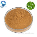 Wholesale High Quality Portulaca Extract Powder